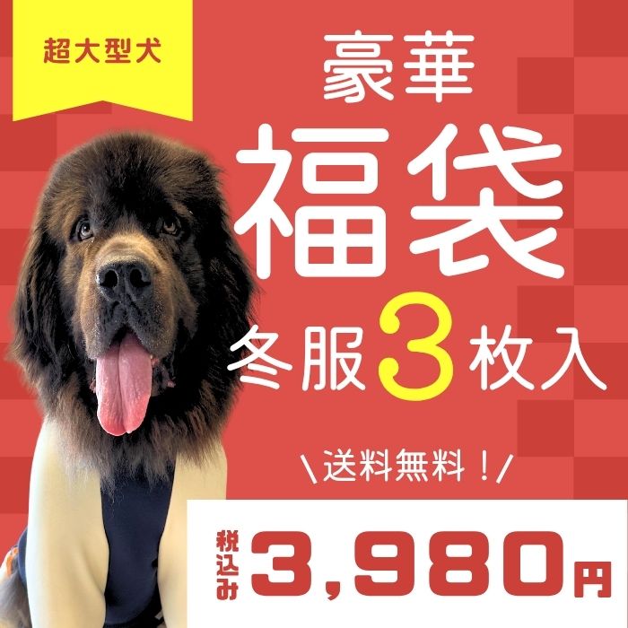 Web限定福袋 超大型犬3枚入 冬服・男女混合デザイン ※返品 交換不可