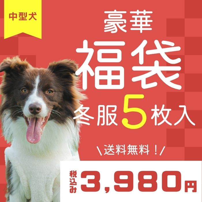 Web限定福袋中型犬5枚入冬服・男女混合デザイン※返品 交換不可 | VERY-PET