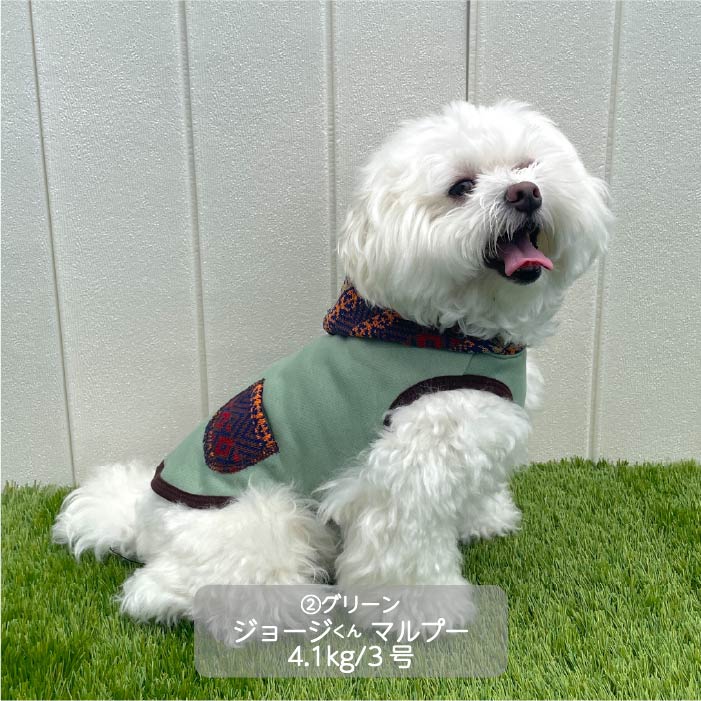 <font color="red">最新秋冬服20%OFFセール</font><br><font size="3">小型犬・胴長・ダックス</font> <br>ニットフード付タンク - VERY-PET