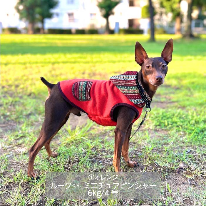<font color="red">最新秋冬服20%OFFセール</font><br><font size="3">小型犬・胴長・ダックス</font> <br>ニットフード付タンク - VERY-PET