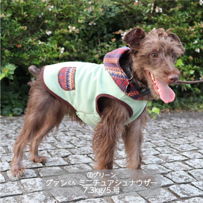 <font color="red">最新秋冬服20%OFFセール</font><br><font size="3">小型犬・胴長・ダックス</font> <br>ニットフード付タンク - VERY-PET