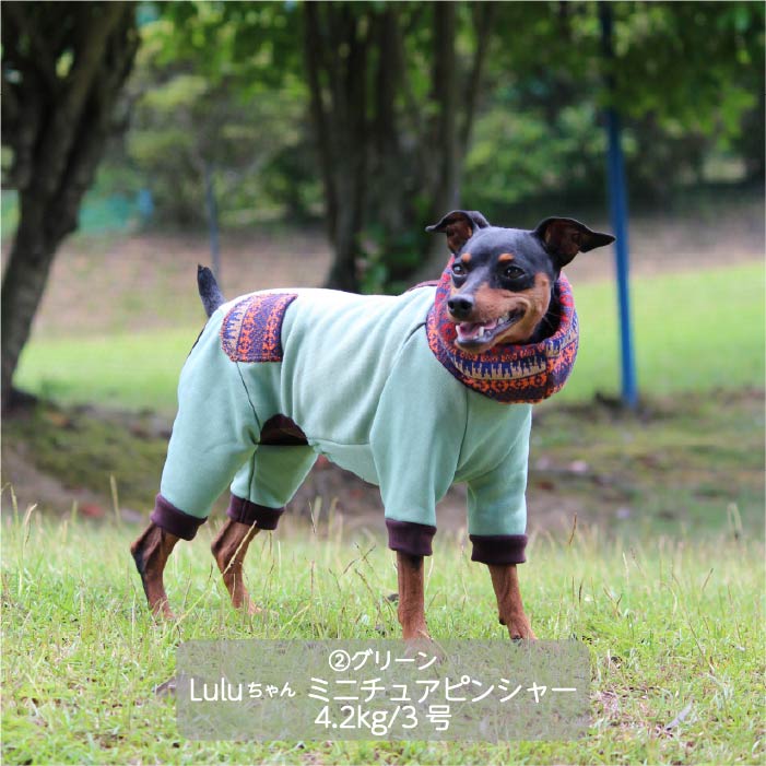 <font color="red">最新秋冬服20%OFFセール</font><br><font size="3">小型犬・胴長</font><br>ニットフード付カバーオール - VERY-PET
