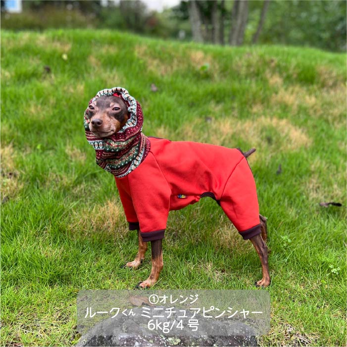 <font color="red">最新秋冬服20%OFFセール</font><br><font size="3">小型犬・胴長</font><br>ニットフード付カバーオール - VERY-PET