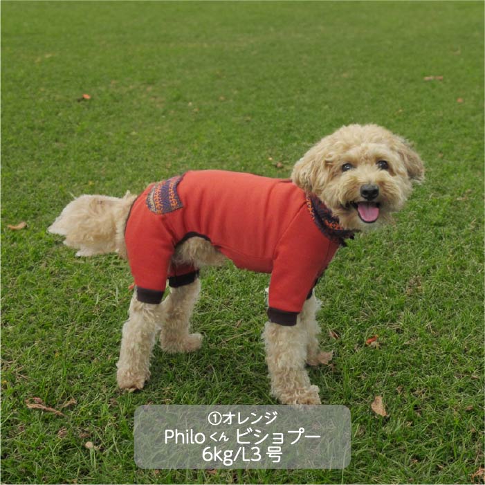 <font color="red">最新秋冬服20%OFFセール</font><br><font size="3">小型犬・胴長</font><br>ニットフード付カバーオール - VERY-PET