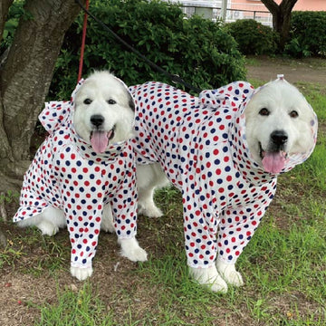 ストレッチフルカバー レインコート 2脚 超大型犬 - VERY-PET