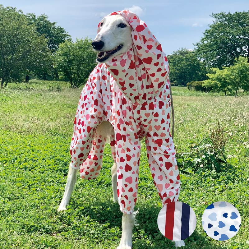 【新品未使用】 peak オリーブ色 犬用レインコート4L 新品未使用】snow peak オリーブ色 犬用レインコート4L