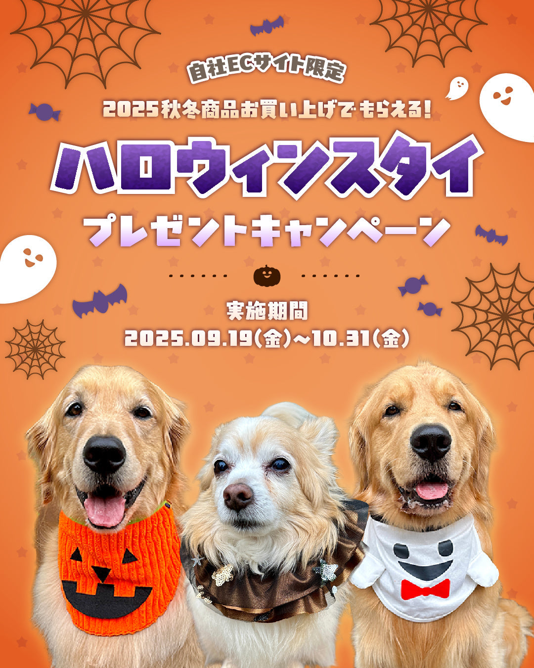 ハロウィンプレゼントキャンペーン