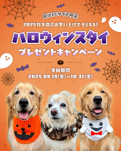 ハロウィンプレゼントキャンペーン