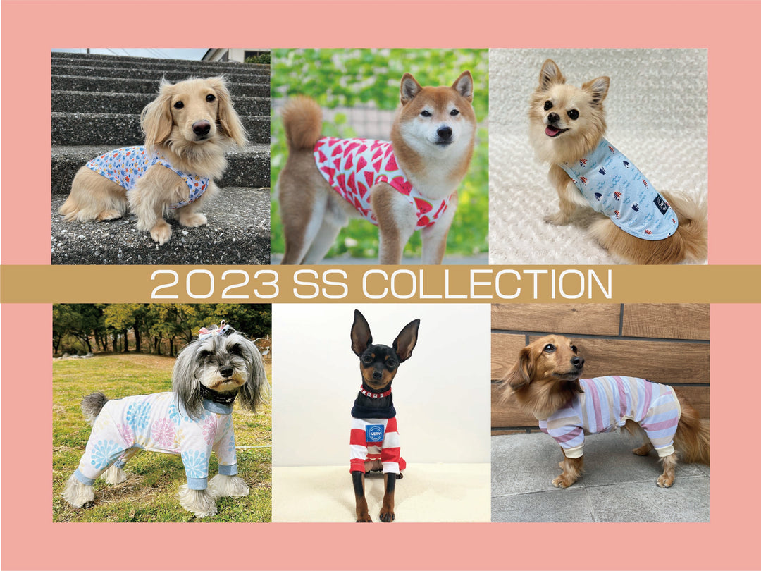 わんちゃんの春の過ごし方～2023SS新商品のご案内～