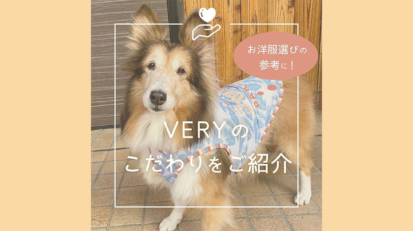 犬服VERYのこだわりをご紹介