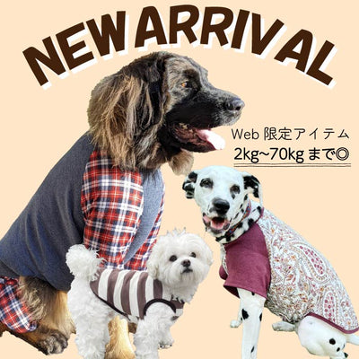 愛犬にお洋服を着せる上手なタイミング～新作Web限定アイテムのご案内～