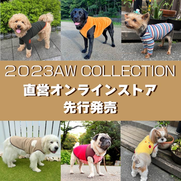気になるあのニオイの消臭対策～2023秋冬新商品のご案内～