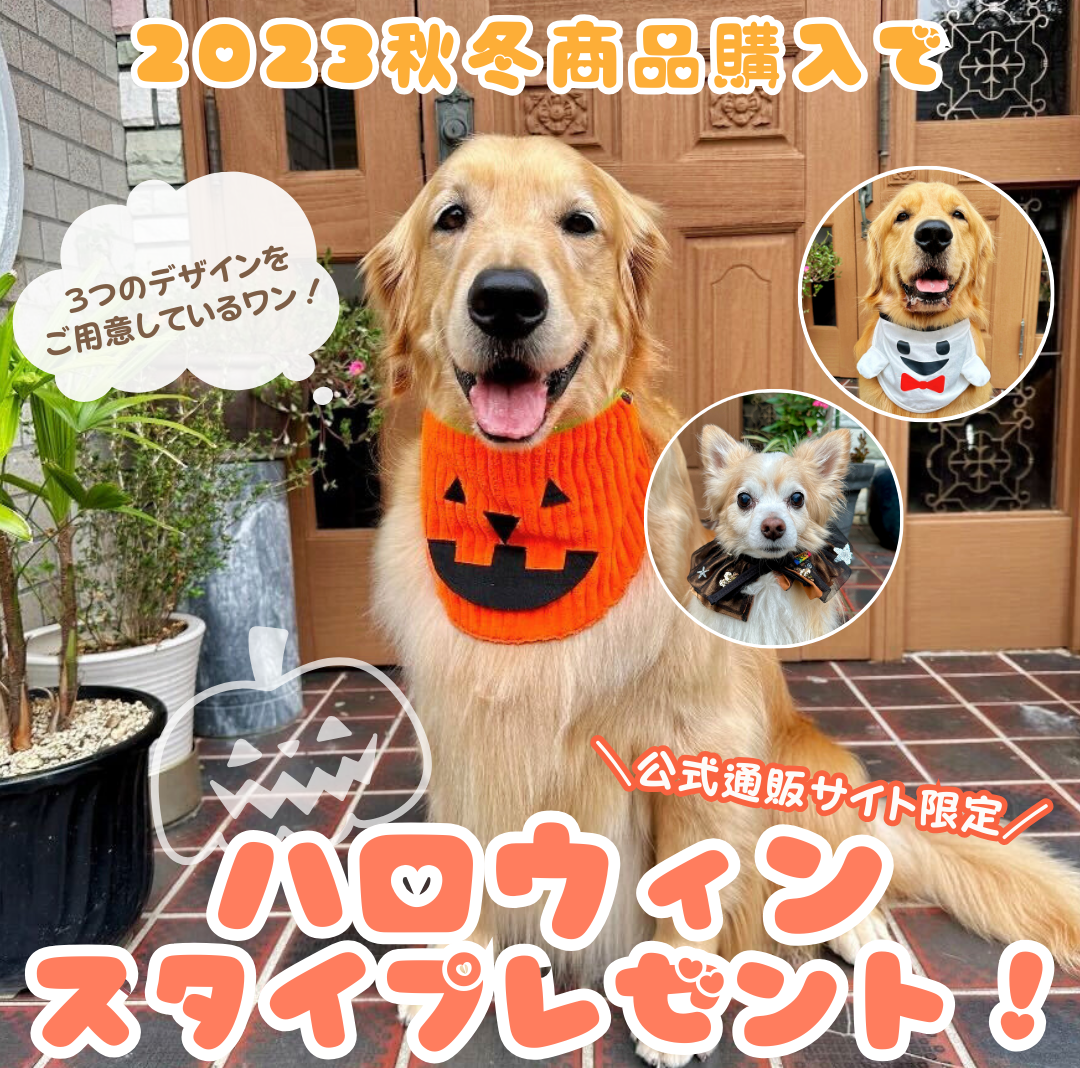 10/5から！ハロウィンプレゼントキャンペーン