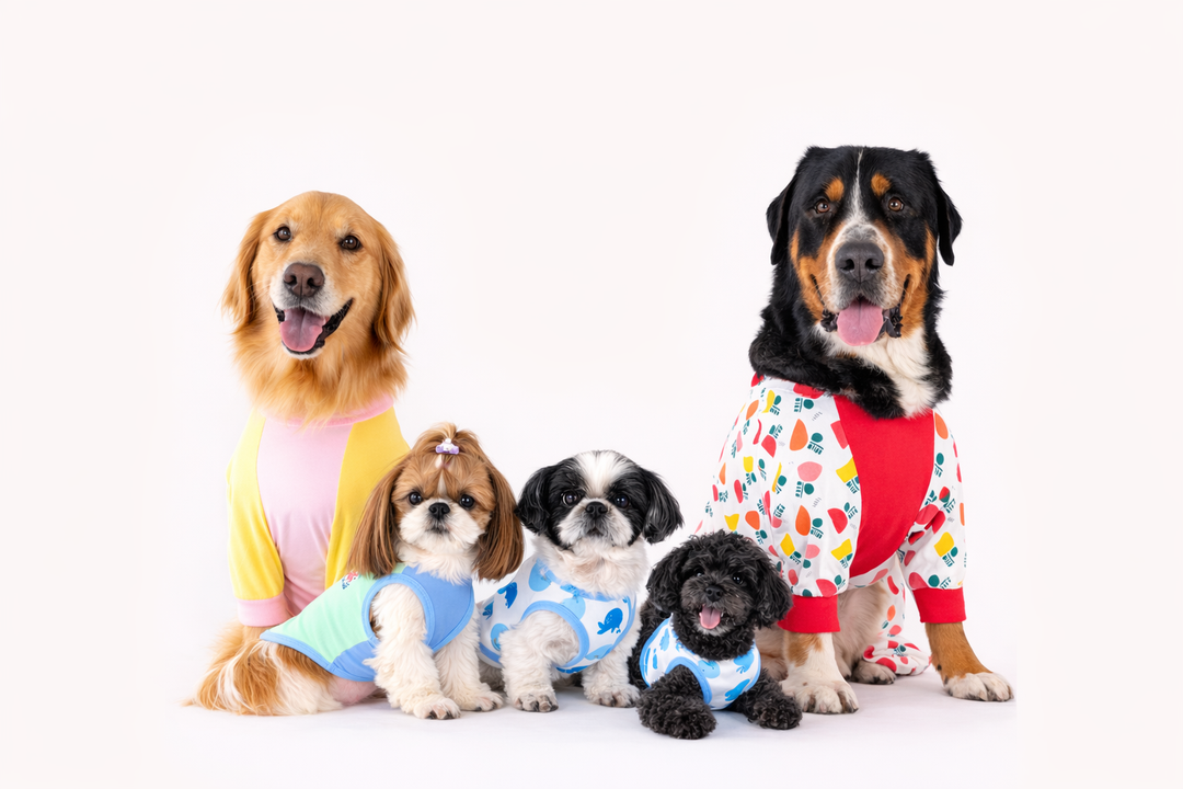 【全34サイズ展開】犬服のサイズ選びで失敗しない方法｜小型犬〜超大型犬まで対応のVERY