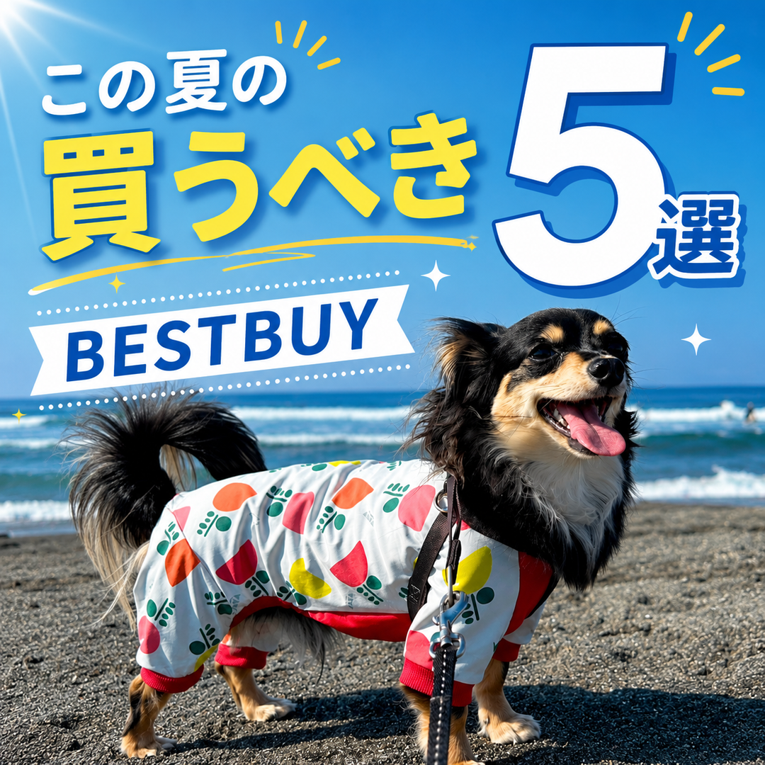 夏本番前に準備したい！愛犬の暑さ対策おすすめアイテム5選