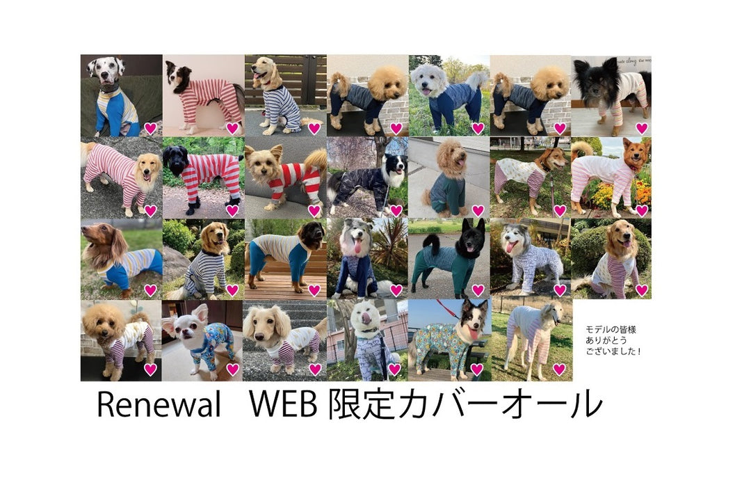 Web限定商品新作　先行発売開始