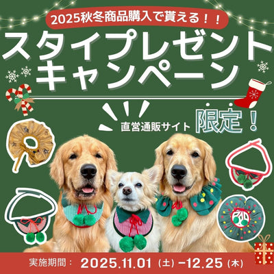 クリスマスプレゼントキャンペーン