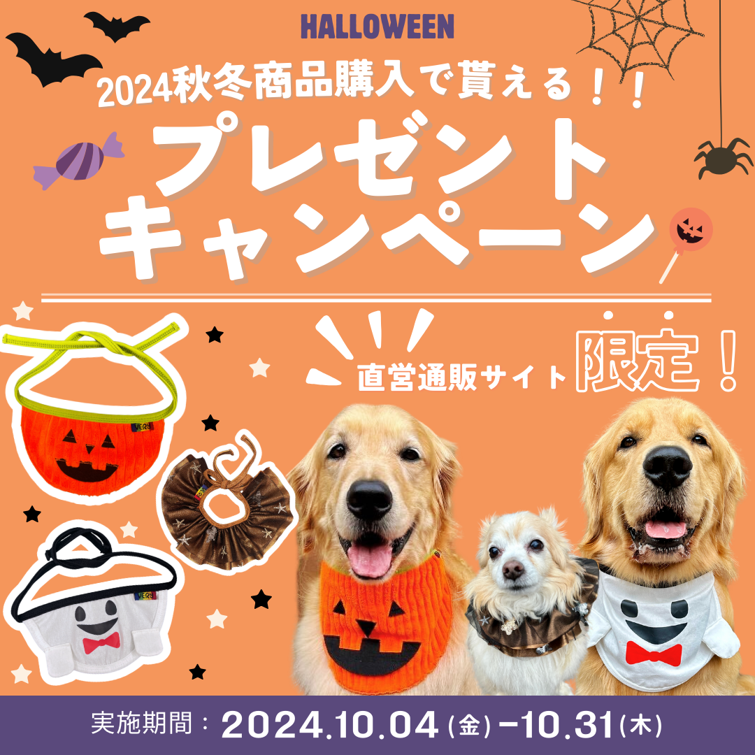 【終了】ハロウィンプレゼントキャンペーン🎃