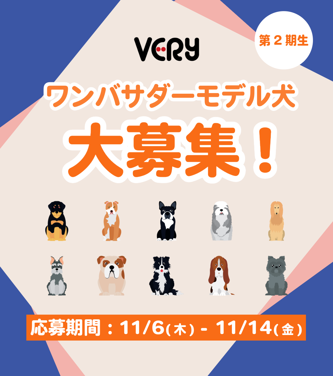 -2026年度-VERYワンバサダーモデル犬大募集！