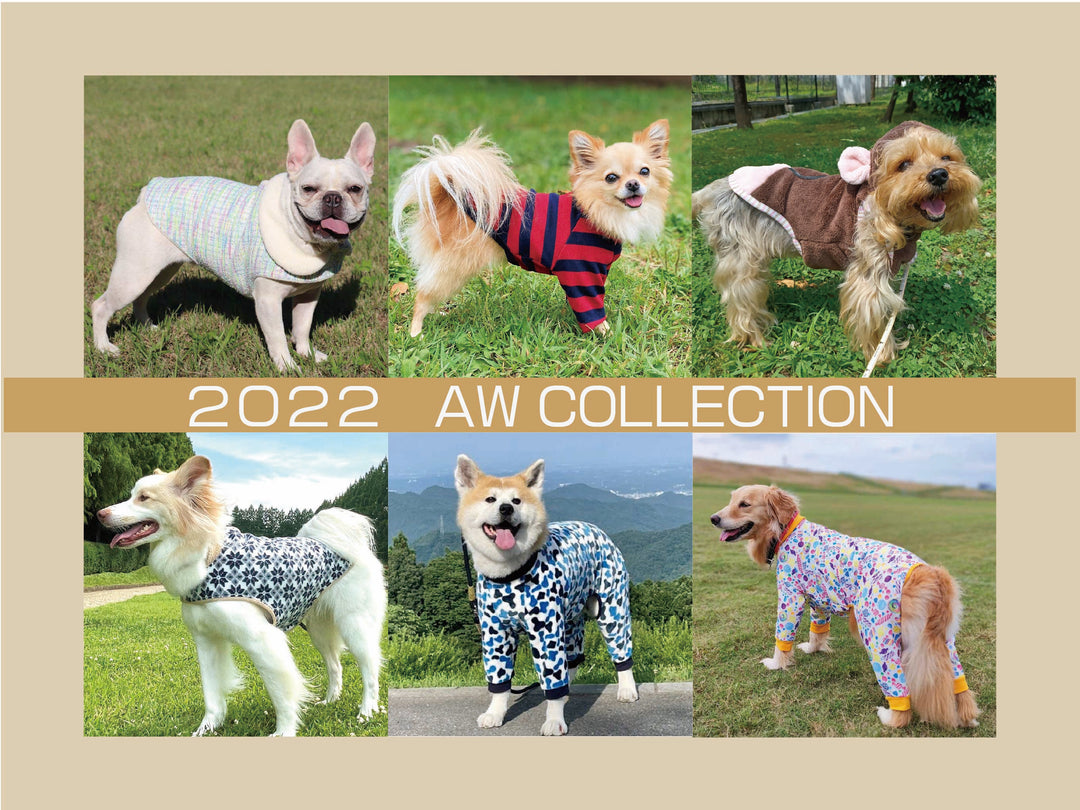 2022年 秋冬 コレクション