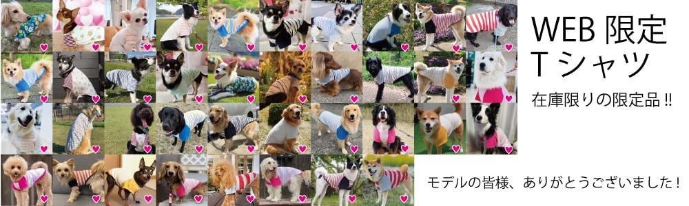 Web限定 Tシャツ