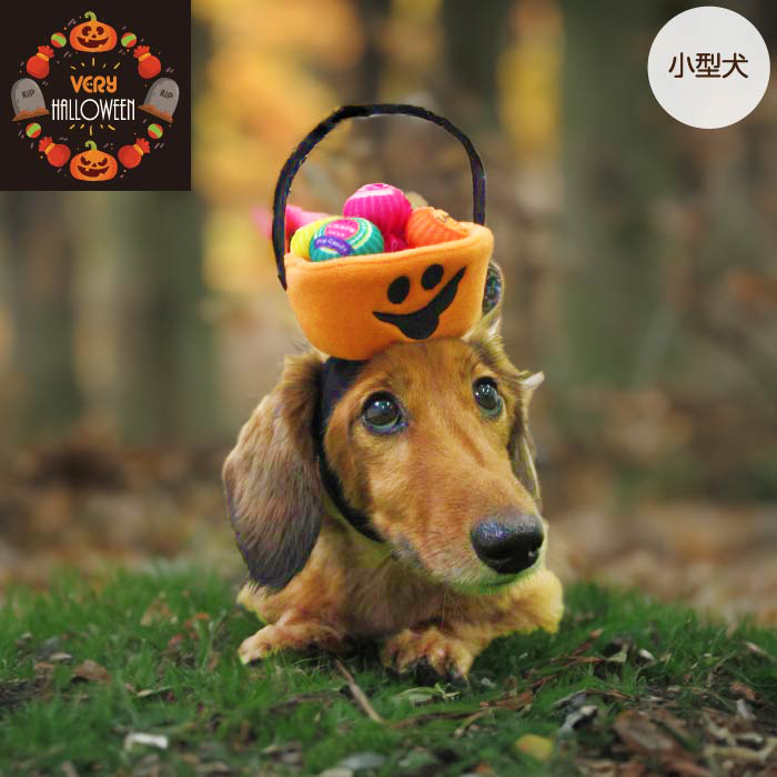 <font color="red">50％OFFセール</font><br>ハロウィン コスチューム 帽子　小型犬用 - VERY-PET