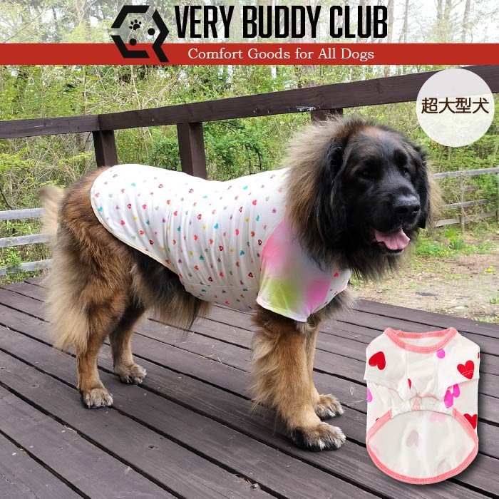 Web限定ハートプリントTシャツ 超大型犬 - VERY-PET