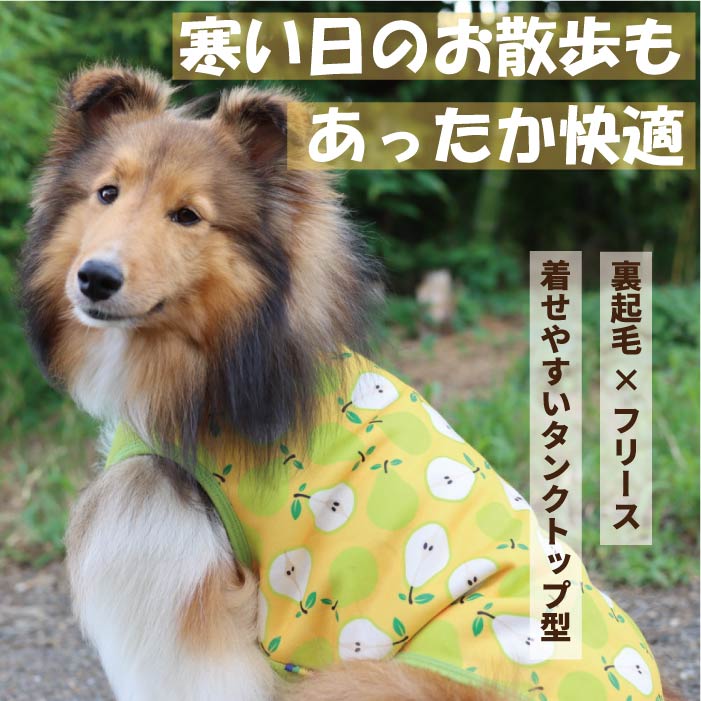 【スタイプレゼント対象商品】小型～大型 ダックス 胴長 [全29size展開]<br>裏起毛プリントタンク フルーツ/ラ・フランス　※8号・9号・10号・11号は定価の20%OFF - VERY-PET