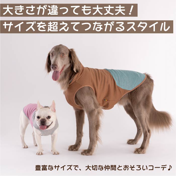 【スタイプレゼント対象商品】小型～超大型 ダックス 胴長 [全29size展開]<br>カラースキームタンク