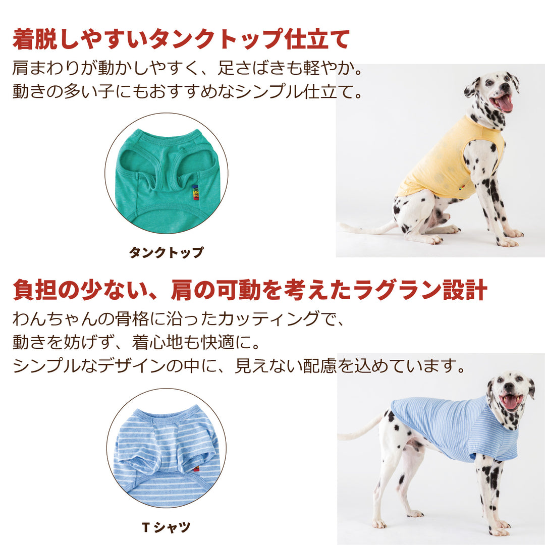 【3枚セット】 綿100% コットンウェア　小型犬・胴長・ダックス-送料無料-