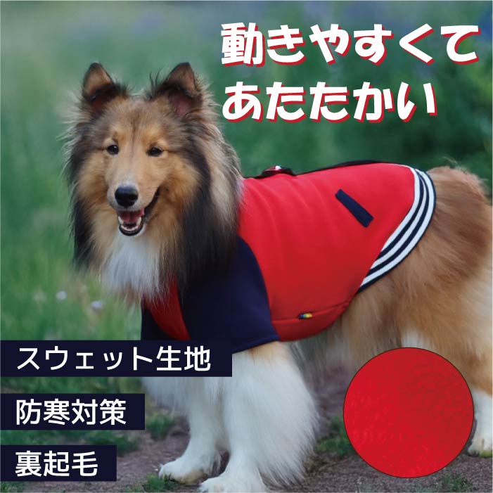2025秋冬犬服｜小型犬 中型犬 大型犬 超大型犬 対応【スタジャン