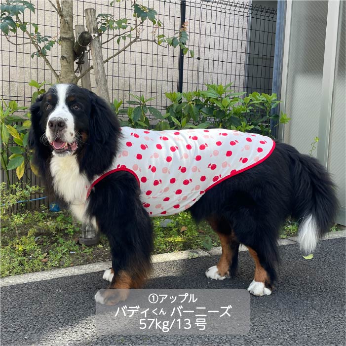 Web限定プリントタンクトップ1 超大型犬 - VERY-PET