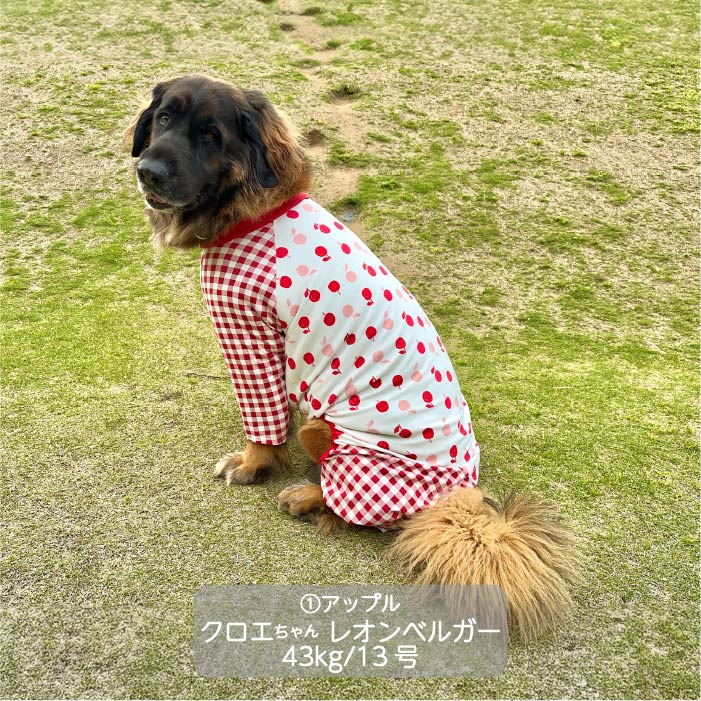 Web限定プリントカバーオール 超大型犬 - VERY-PET