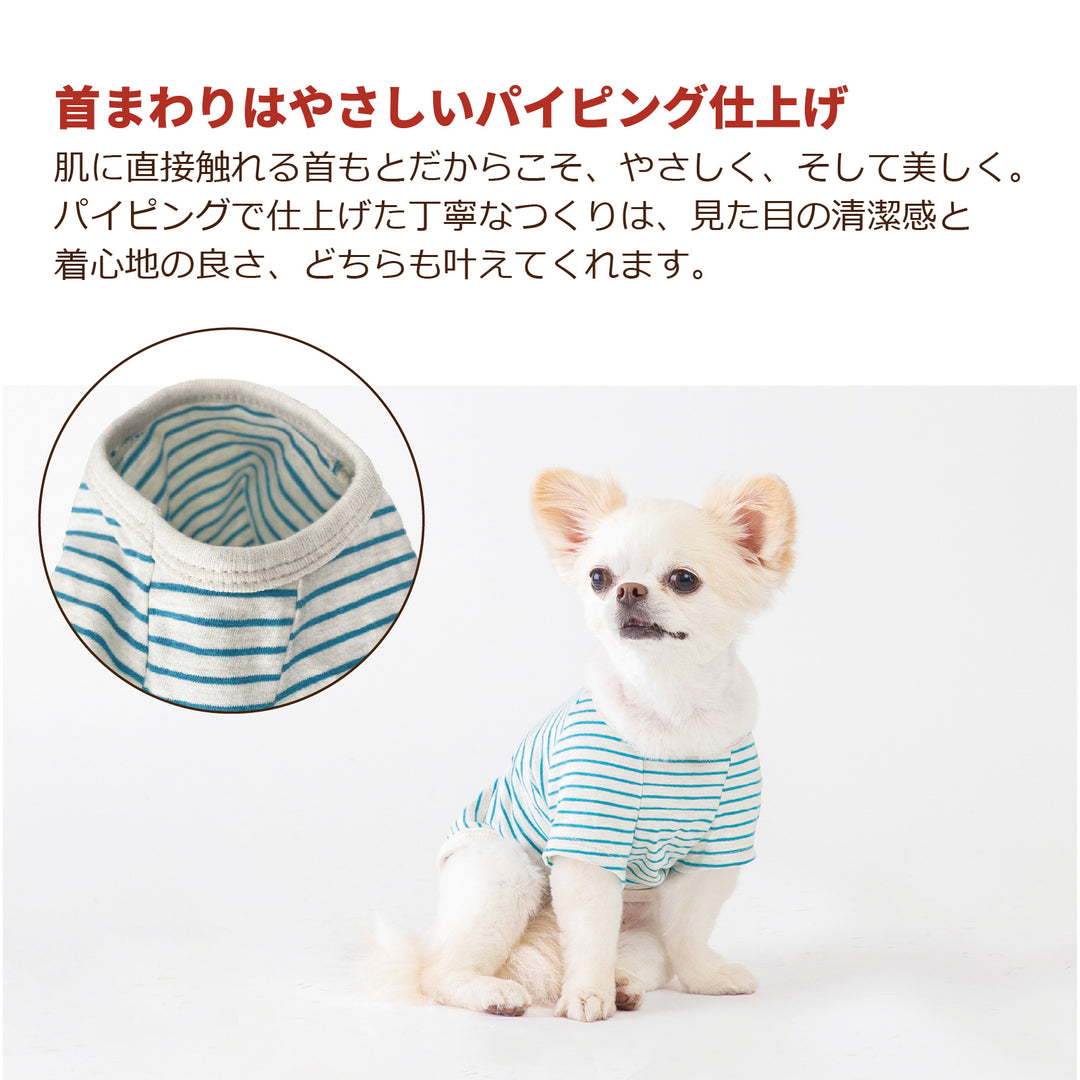 【3枚セット】 綿100% コットンウェア　小型犬・胴長・ダックス-送料無料-