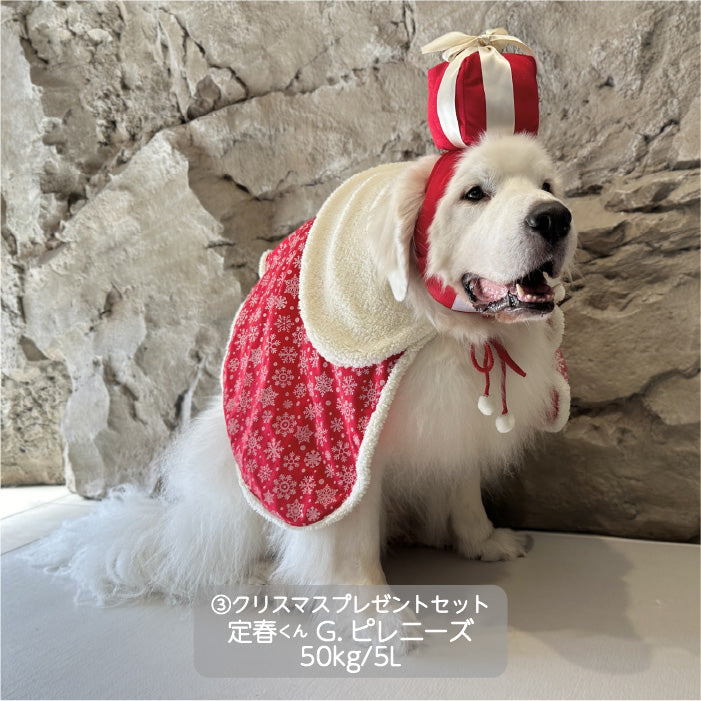 <font size="3">超大型犬</font> <br>クリスマスコスチューム プレゼントセット - VERY-PET