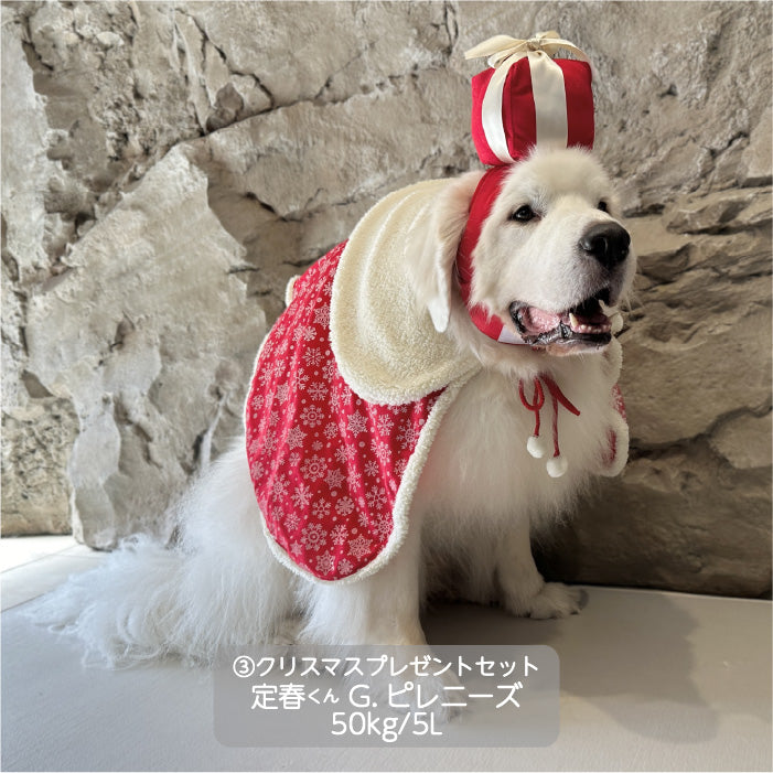 <font size="3">超大型犬</font> <br>クリスマスコスチューム プレゼントセット