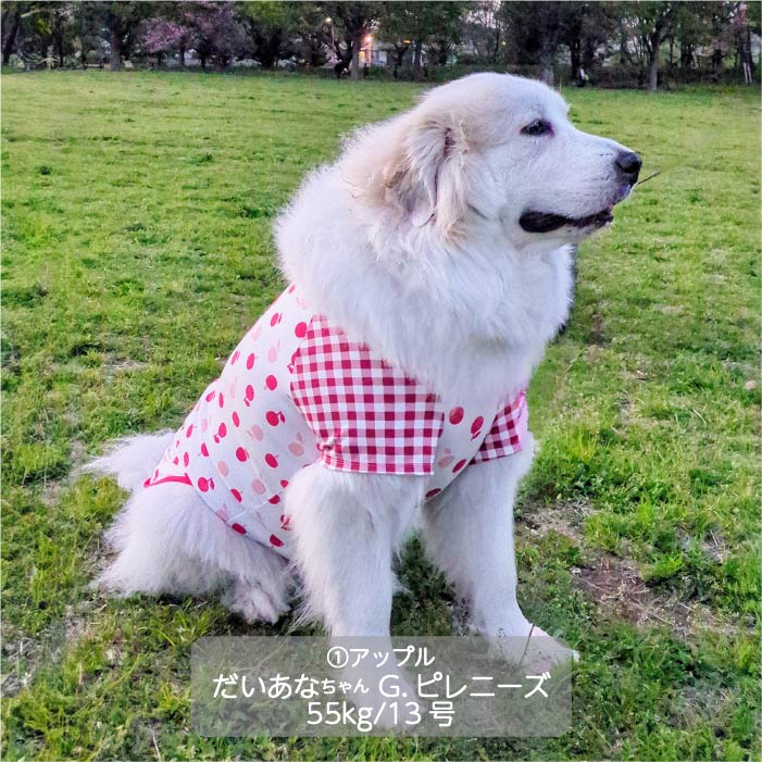 Web限定プリントTシャツ 超大型犬 - VERY-PET