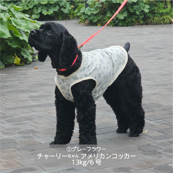 Web限定フラワープリントタンクトップ 中型犬 - VERY-PET