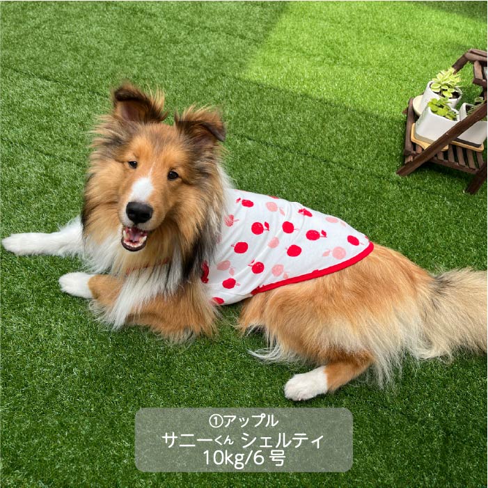 Web限定プリントタンクトップ1 中型犬 - VERY-PET