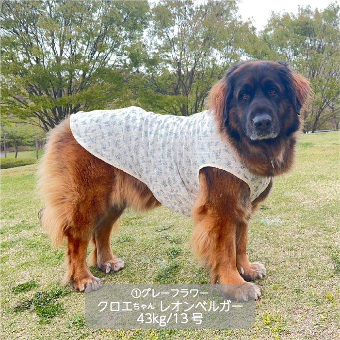 Web限定フラワープリントタンクトップ 超大型犬 - VERY-PET