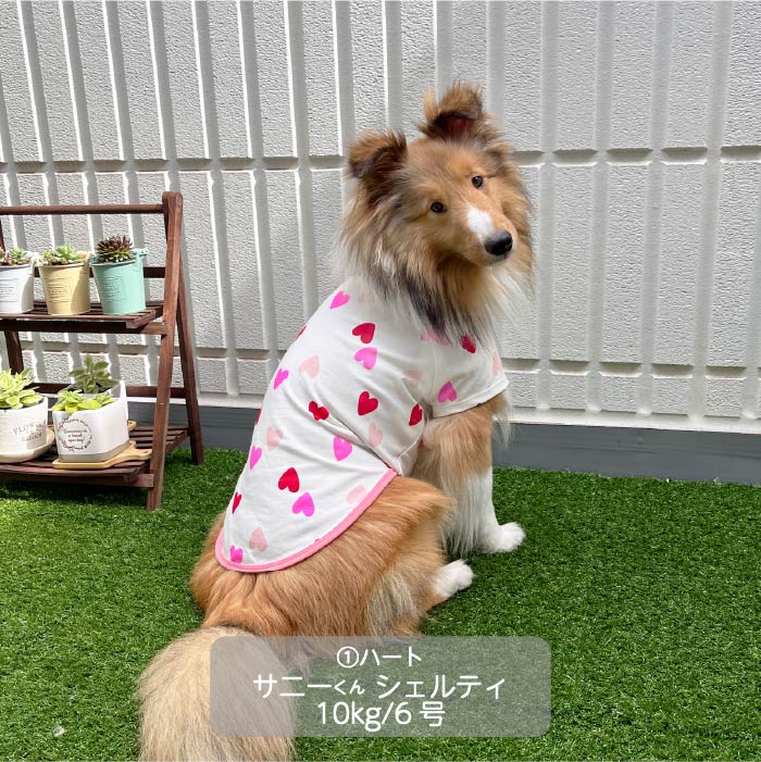 Web限定ハートプリントTシャツ 中型犬 - VERY-PET