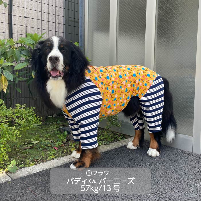 Web限定ボタニカルプリントカバーオール 超大型犬 - VERY-PET