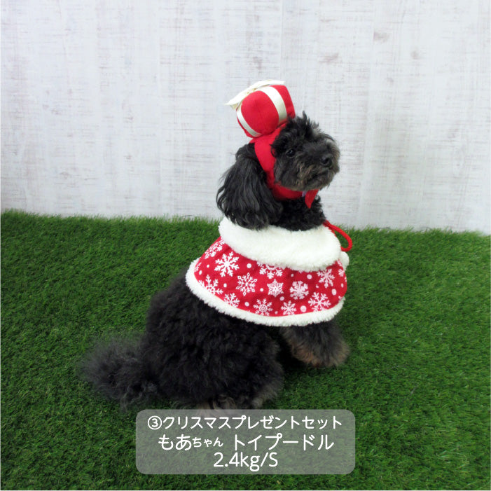 <font size="3">小型犬</font> <br>クリスマスコスチューム プレゼントセット