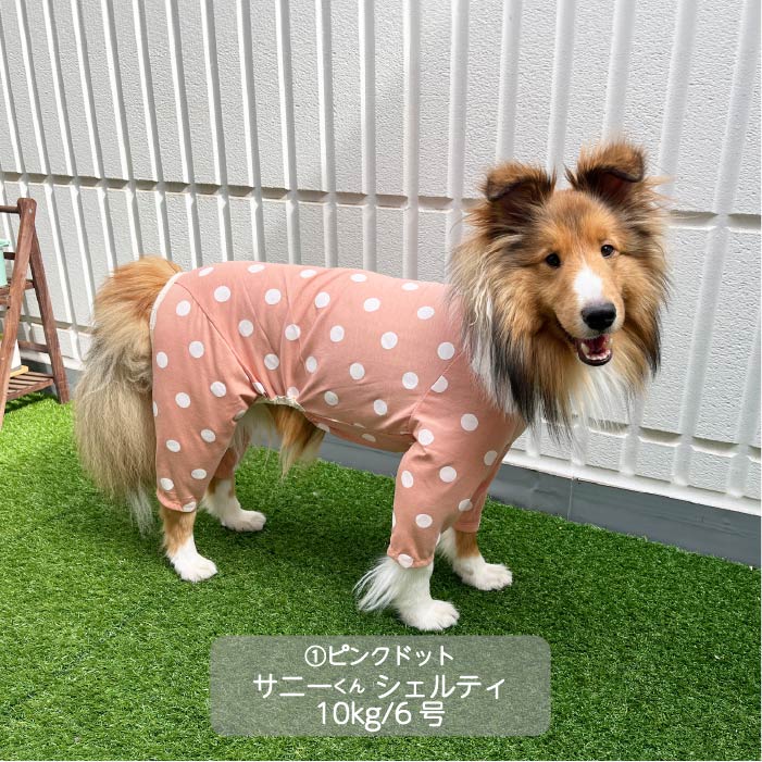 Web限定ドットプリントカバーオール 中型犬 - VERY-PET