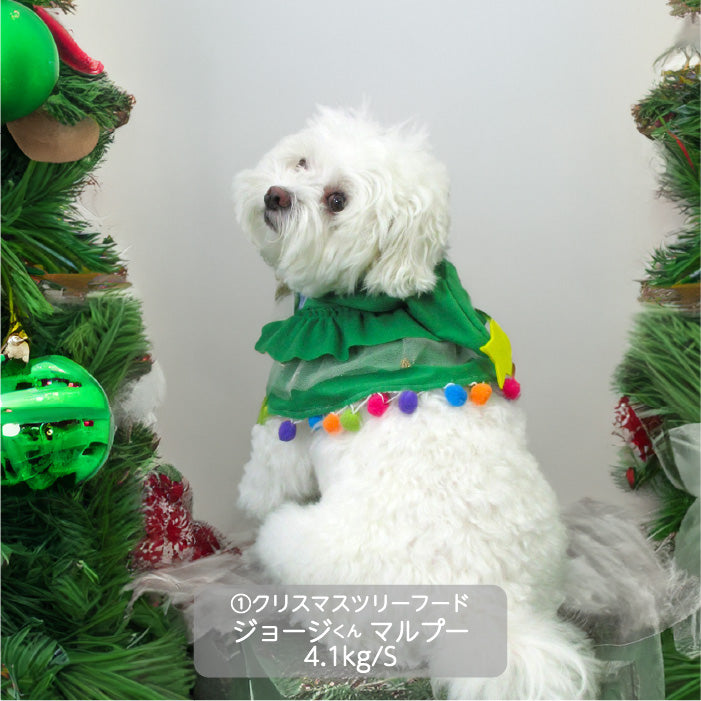 <font size="3">小型犬</font> <br>クリスマスコスチューム ツリーフード