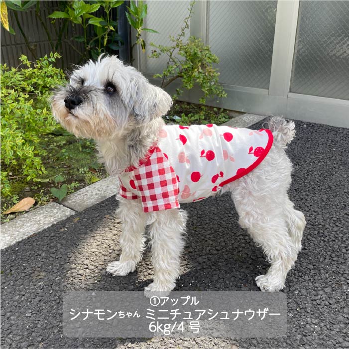 Web限定プリントTシャツ 小型犬・胴長・ダックス - VERY-PET