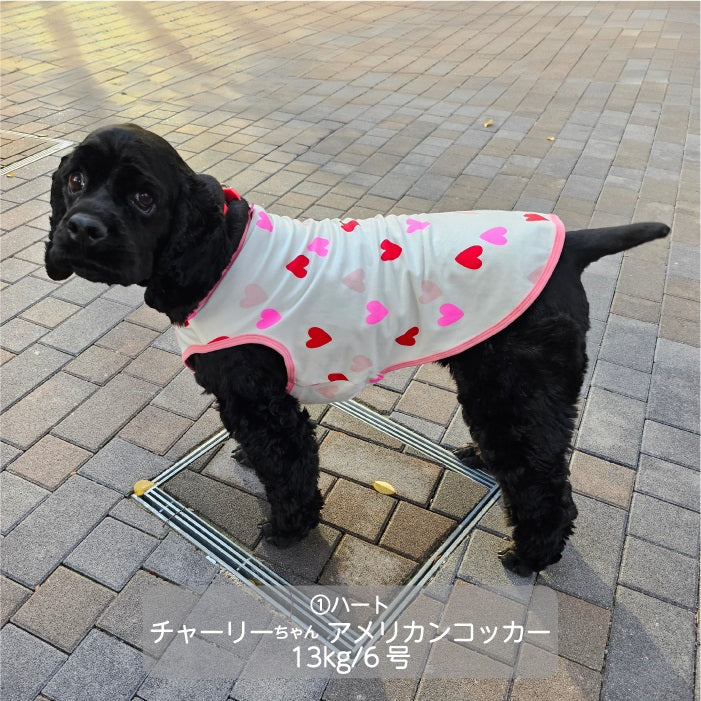 Web限定ハートプリントタンクトップ 中型犬 - VERY-PET