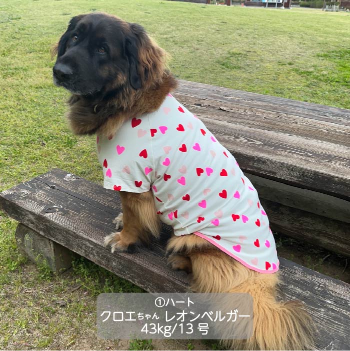 Web限定ハートプリントTシャツ 超大型犬 - VERY-PET