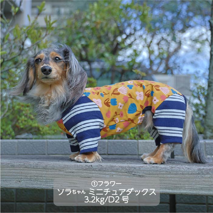 Web限定ボタニカルプリントカバーオール ダックス - VERY-PET