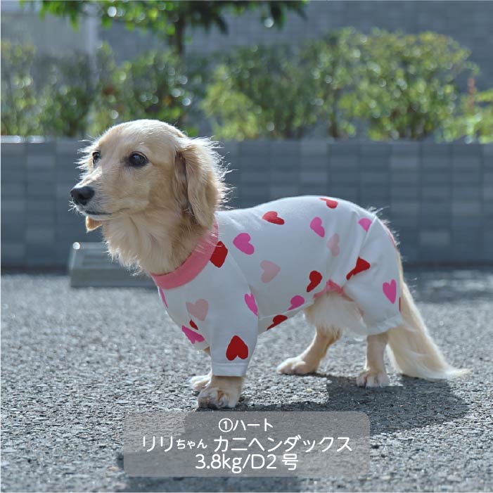 Web限定ハートプリントカバーオール ダックス - VERY-PET